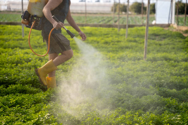 Best Pest Prevention Services  in Bellevue, IL
