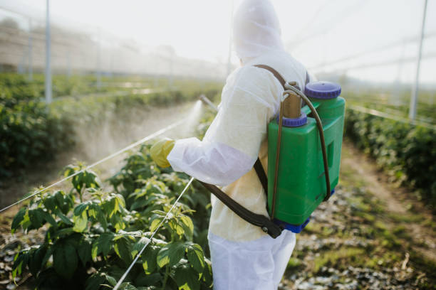 Best Mosquito Control Services  in Bellevue, IL